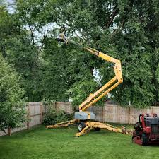 Best Storm Damage Tree Cleanup  in Salton City, CA